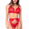 Sexy 3-delige peek-a-boo kanten set met string en jarretels - MAL8970RED